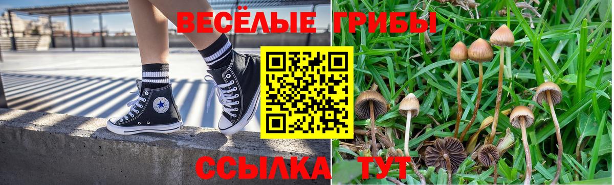 Югорск  Псилоцибиновые грибы Cubensis  Вход с VPN  Псилоцибиновые грибы Psilocybe 