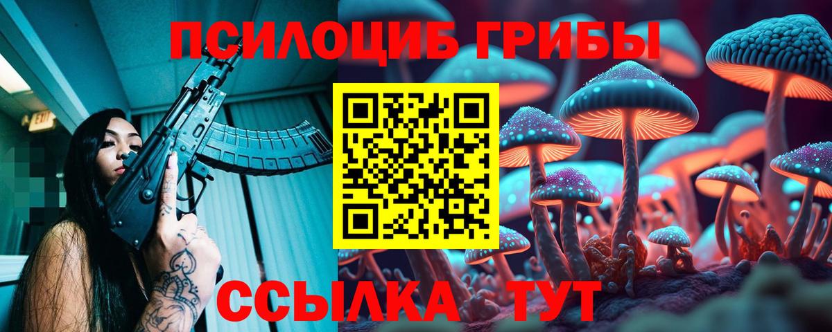 Псилоцибиновые грибы мицелий Югорск